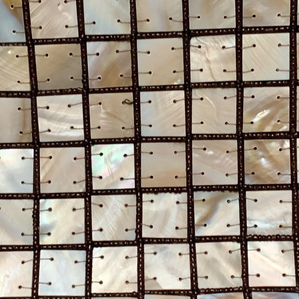 Mother of pearl sea shell handbag